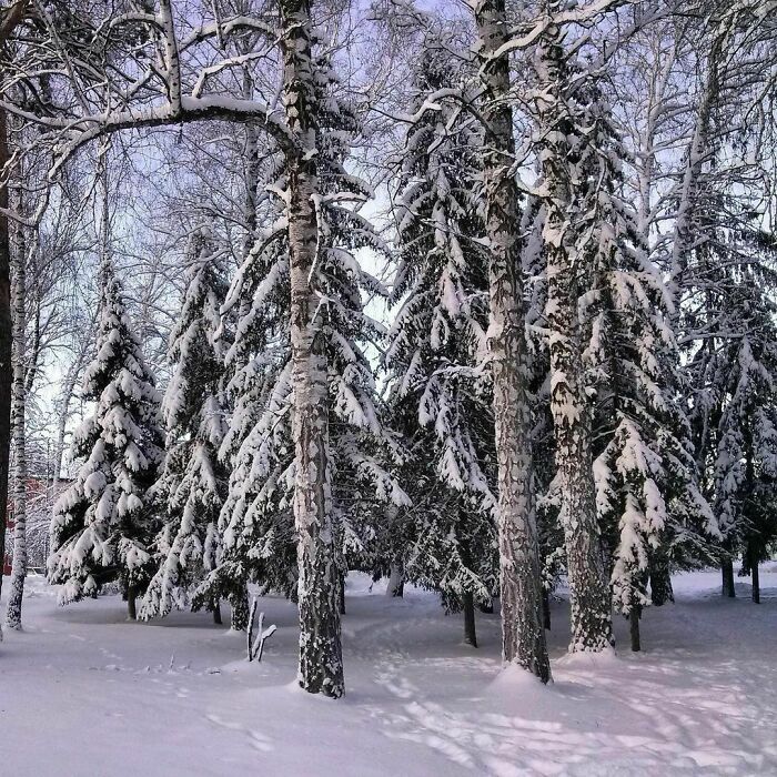 Cold-In-Russia-Winter