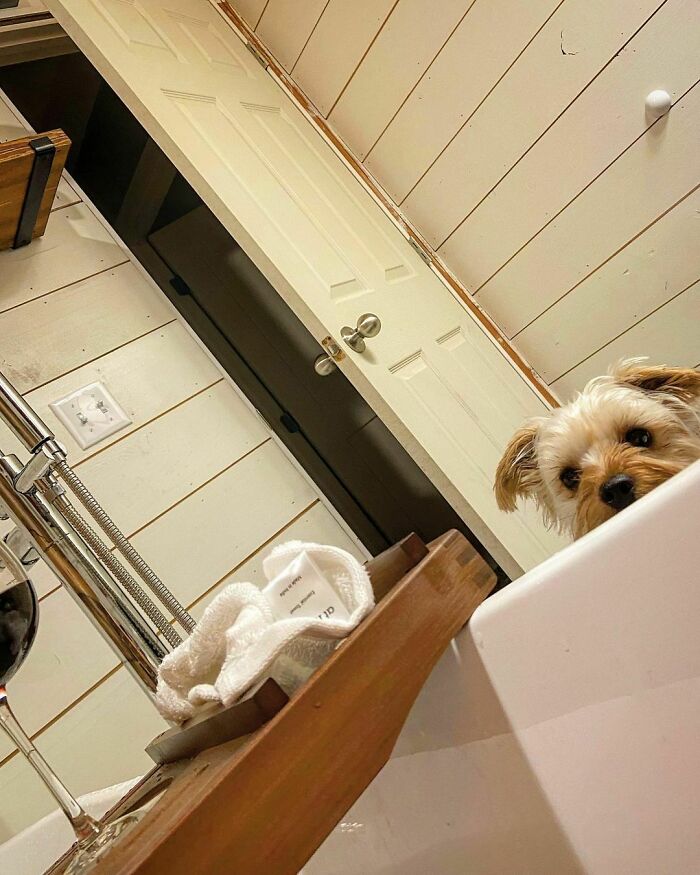 Ever Get The Feeling You’re Being Watched?