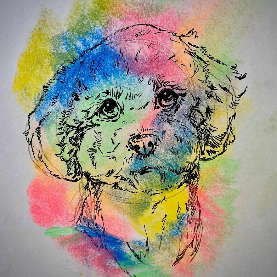 Pet Portraits For Charity