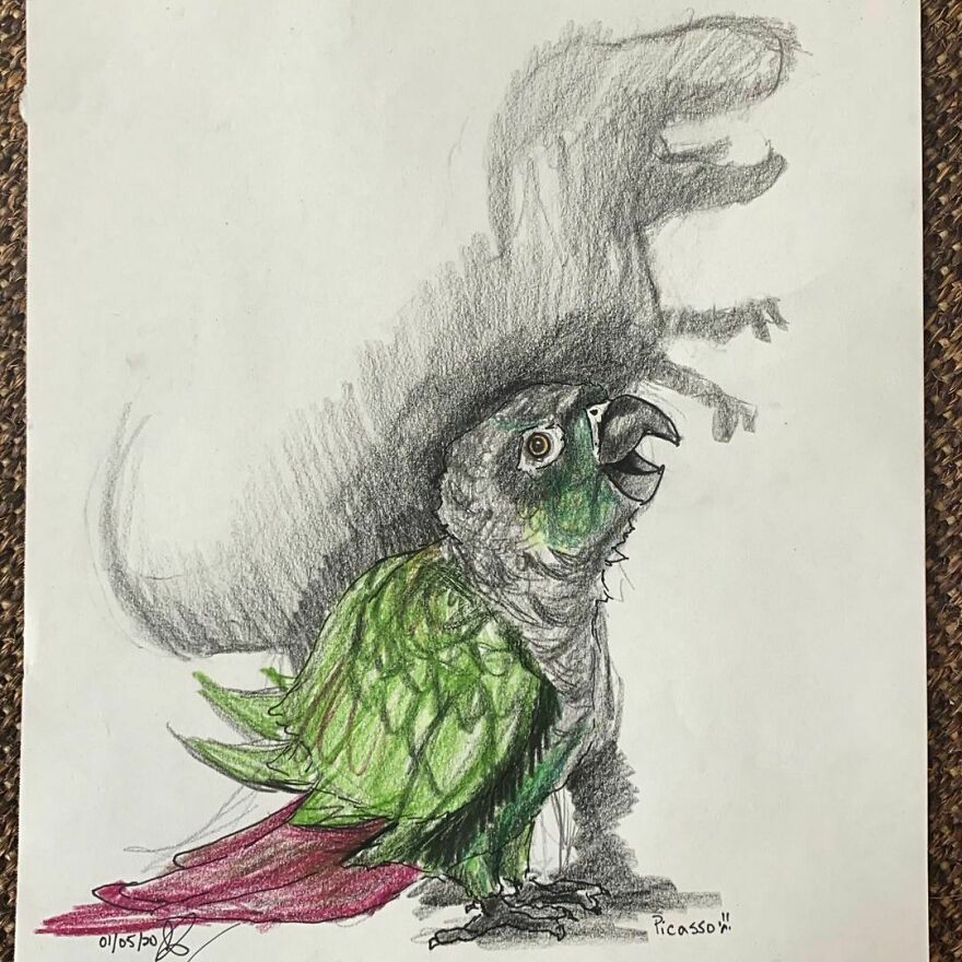 Pet Portraits For Charity