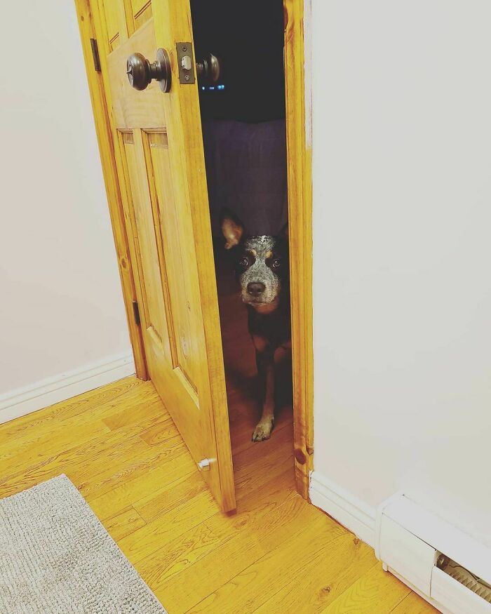 Hi. No Privacy For You. Ever