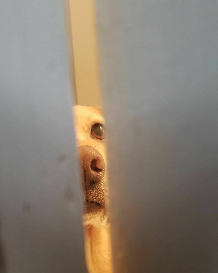 Making Sure Mommy Doesn't Need Me While She Goes Potty