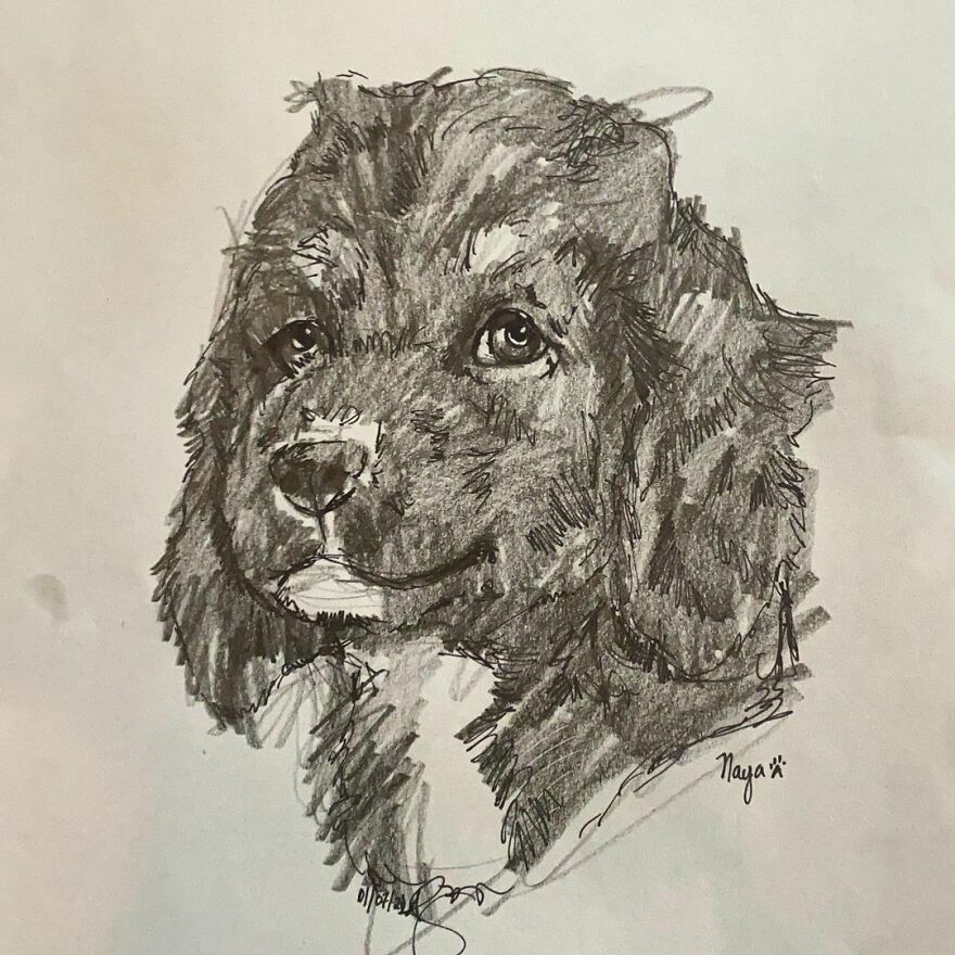 Pet Portraits For Charity