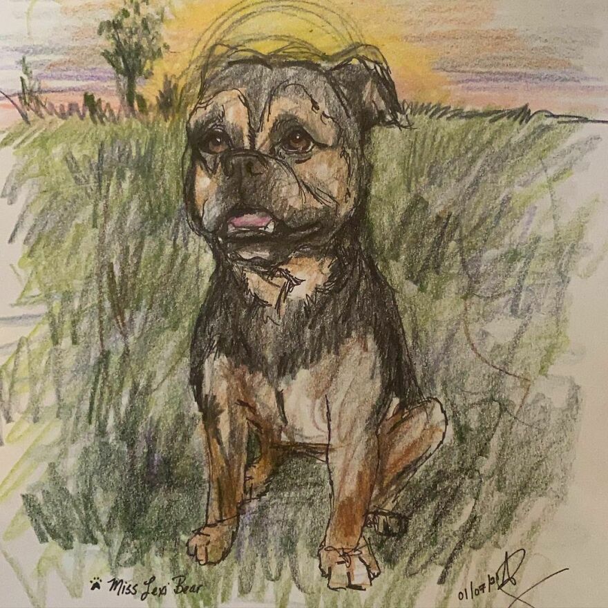 Pet Portraits For Charity