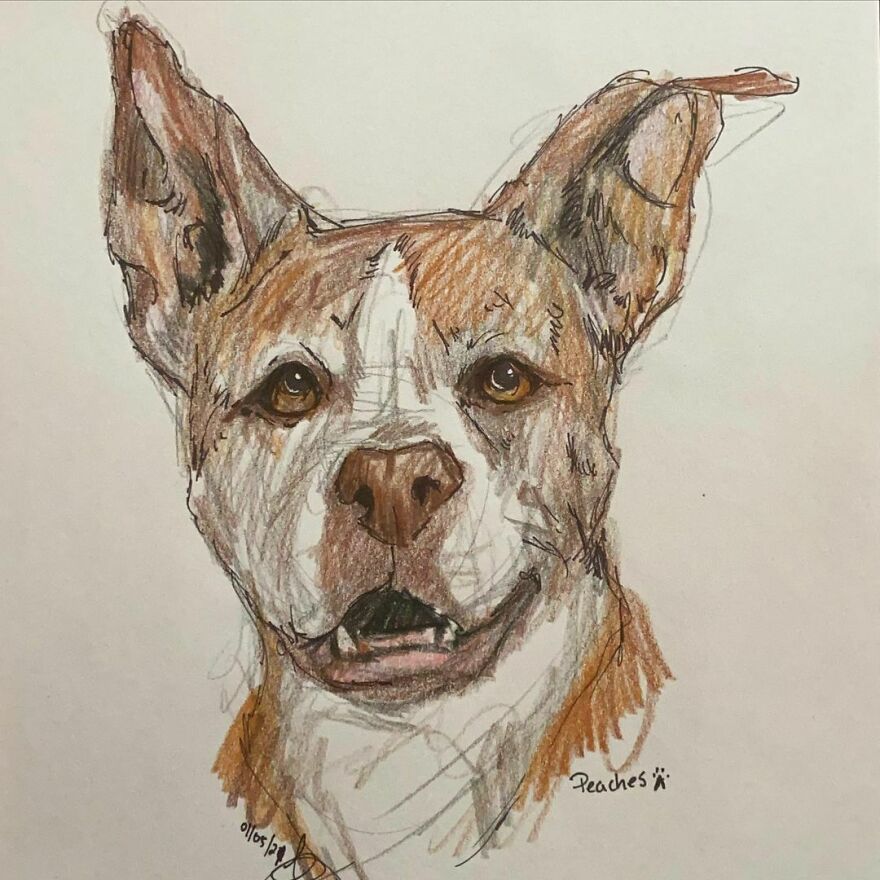 Pet Portraits For Charity