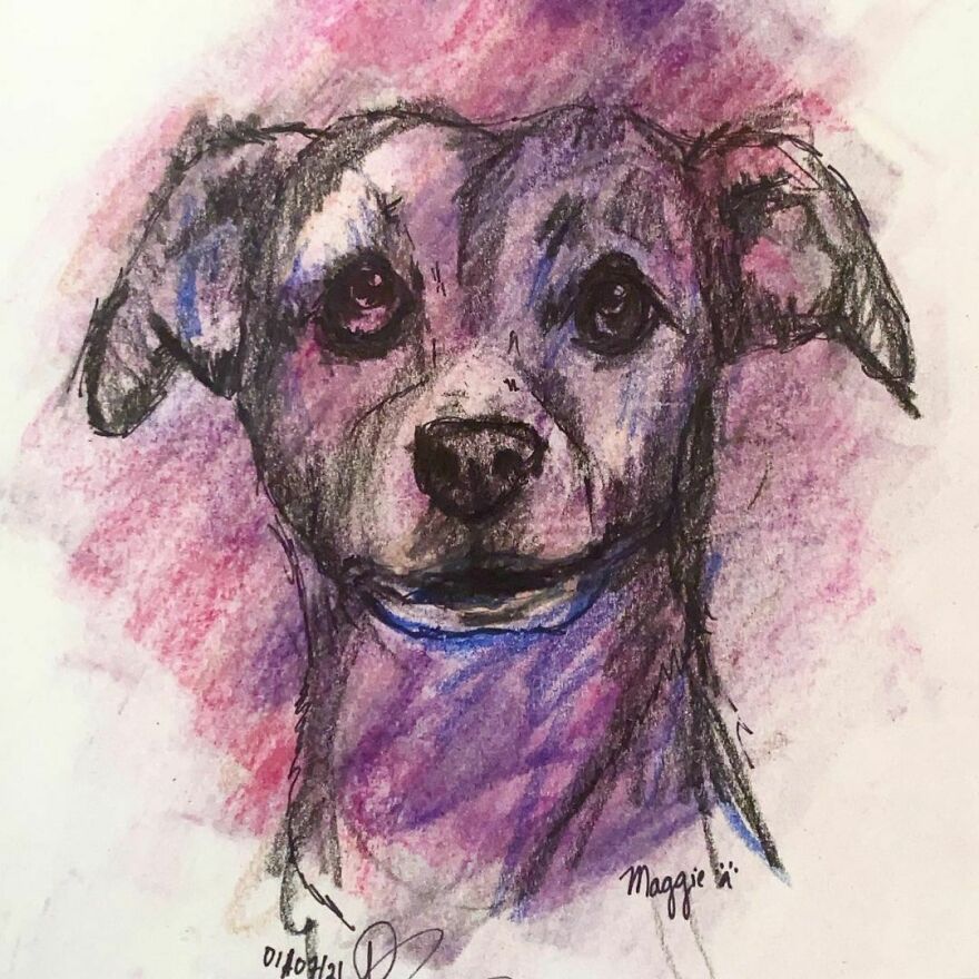 Pet Portraits For Charity