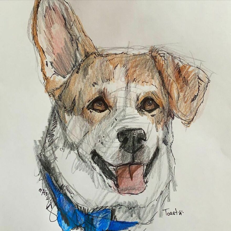 Pet Portraits For Charity