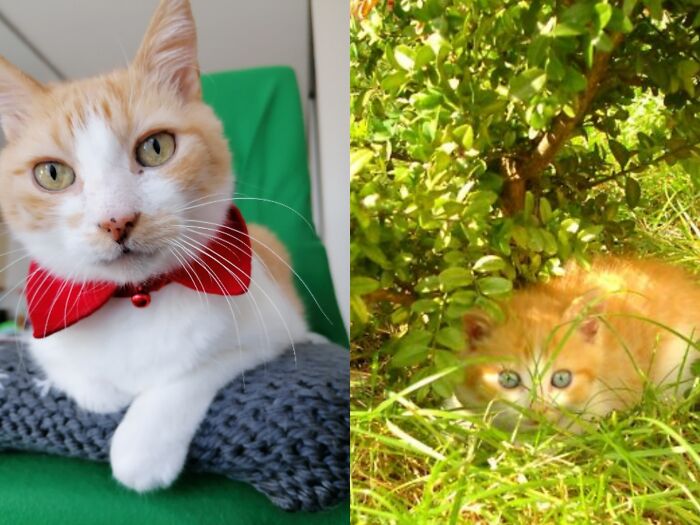 13 Years vs. 3 Months