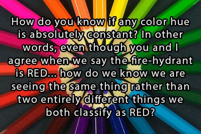 Does Anybody Know The Answer?