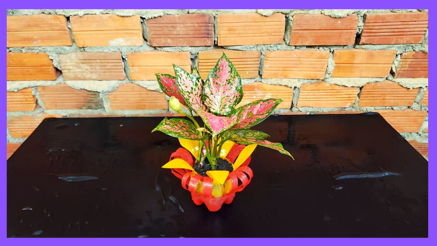 Craft Idea | How To Recycle Plastic Bottles Into Colorful Flower Pots