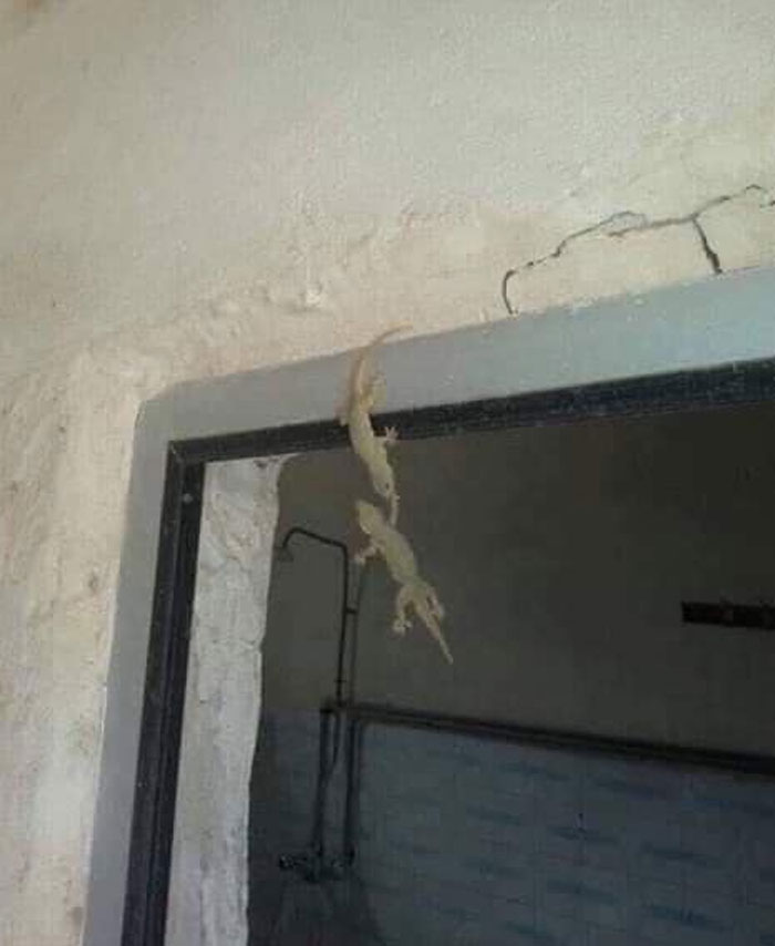 What To Make Of This?