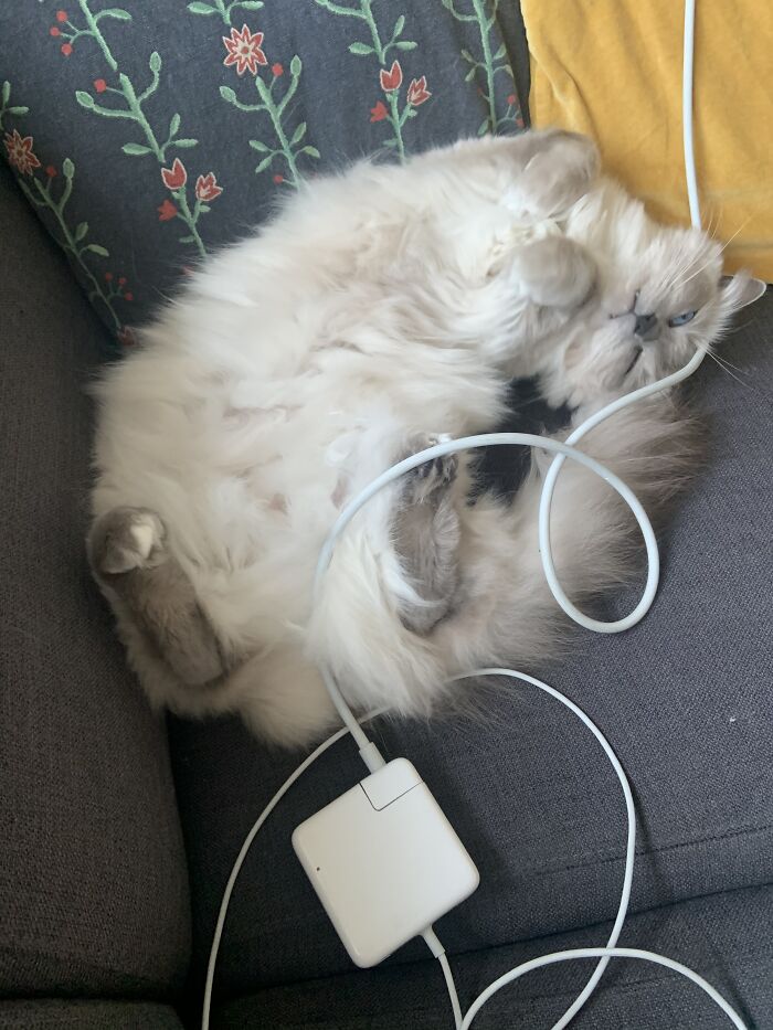 Sleeping With The Eyes Open...