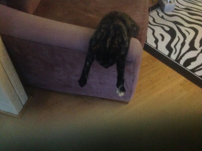 We Call Her...hangie Boo ! (Nickname)