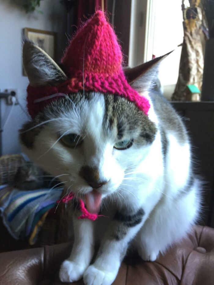 Maybe I Should Loosen The Bow?