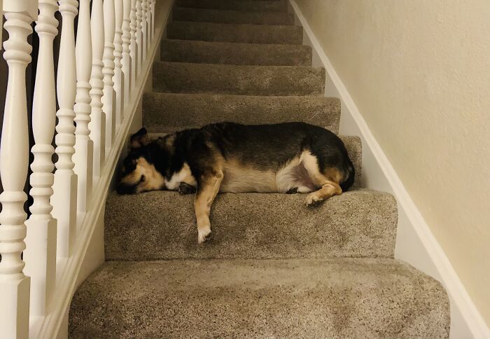 You Shall Not Not Pass!