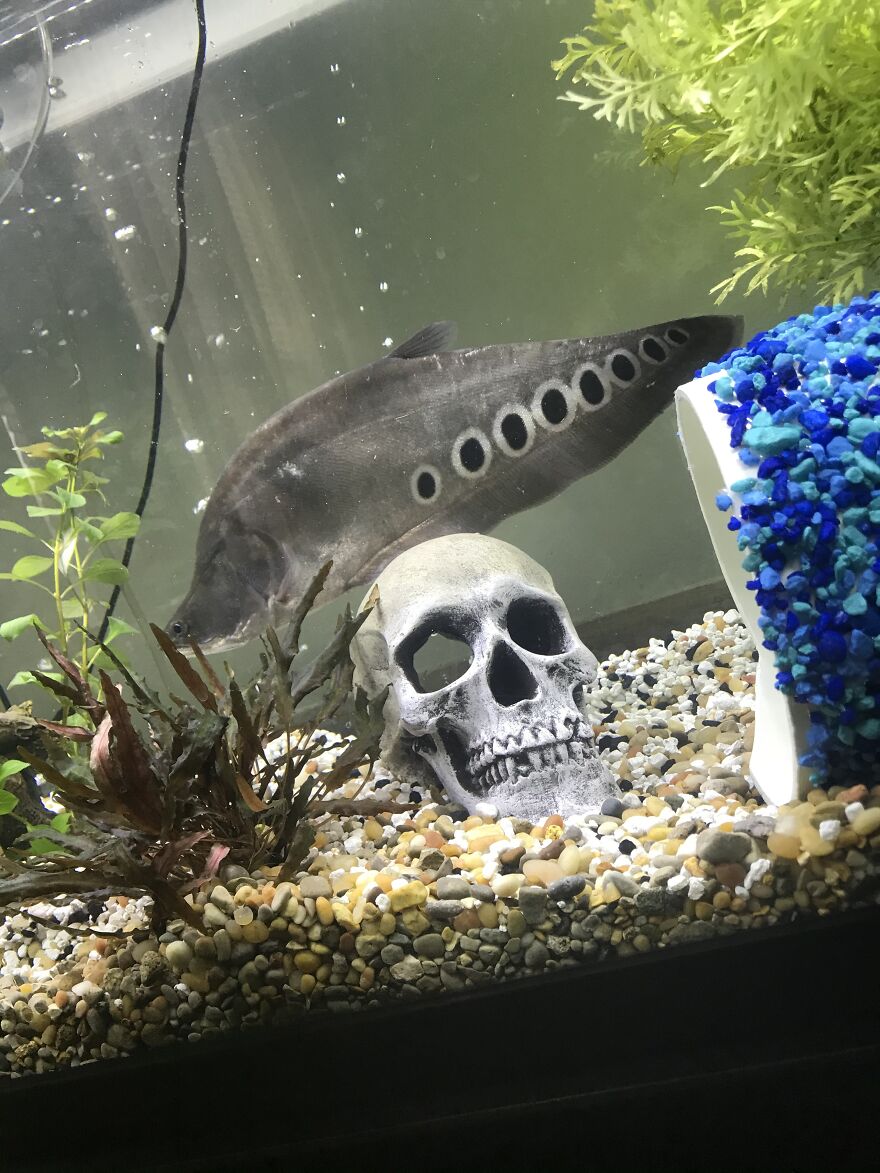 Thought You Guys Might Like Some Cute Animals :)