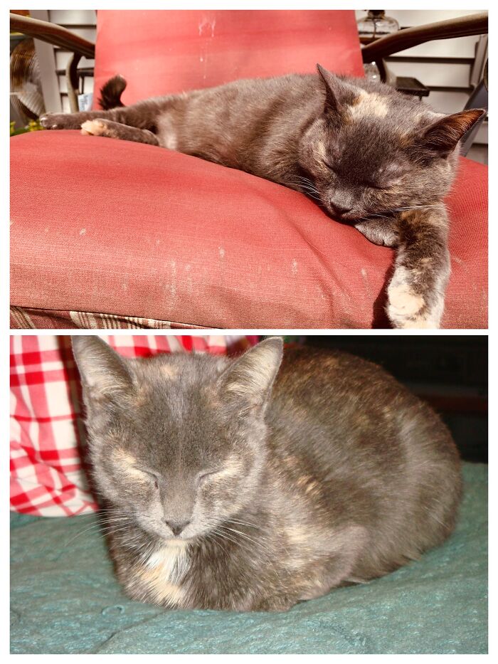 2008 (Bottom) vs. 2020 (Top)