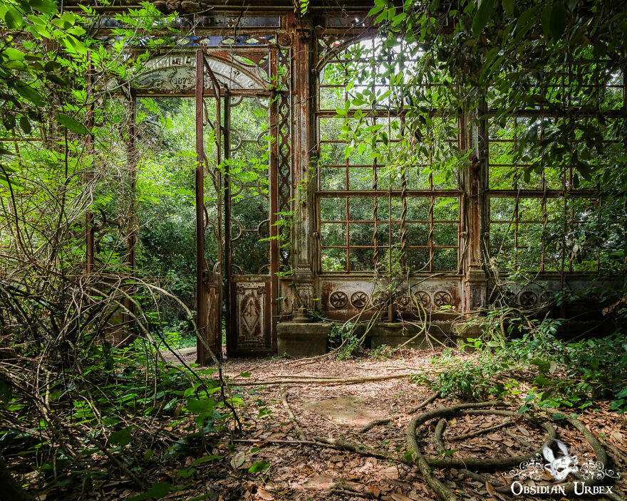Dense Overgrowth Shrouds This Greenhouse, The Wrought Ironwork Rusted Brown As Years Pass