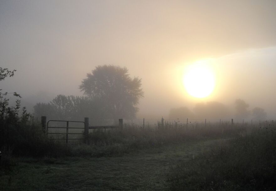Foggy Morning On Our 40 Acres