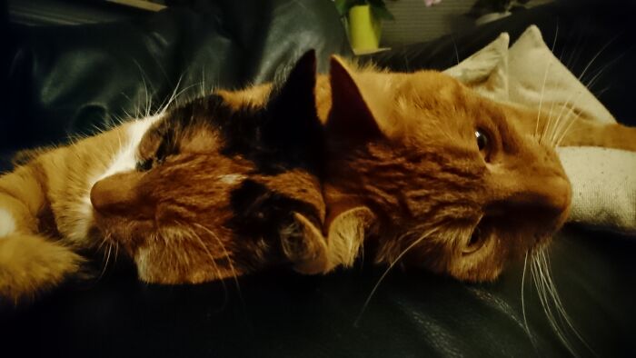 Brother And Sister Love..