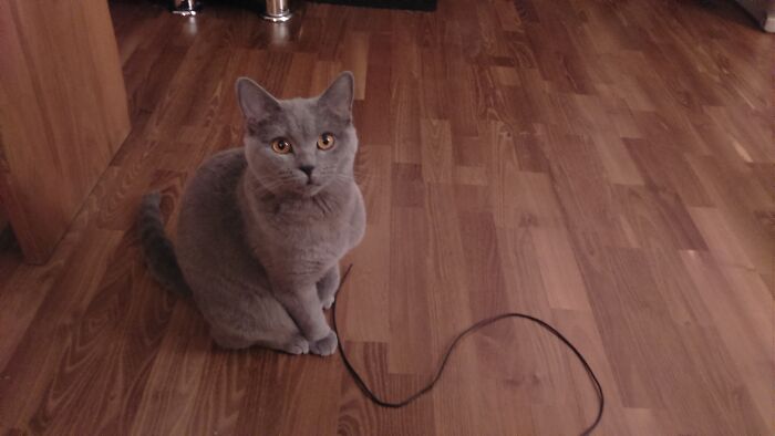 She Fortunately Only Likes The Thin Cables
