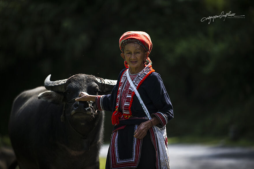 My 29 Pictures That Show The Relationship Between Buffalos And Vietnamese Farmers