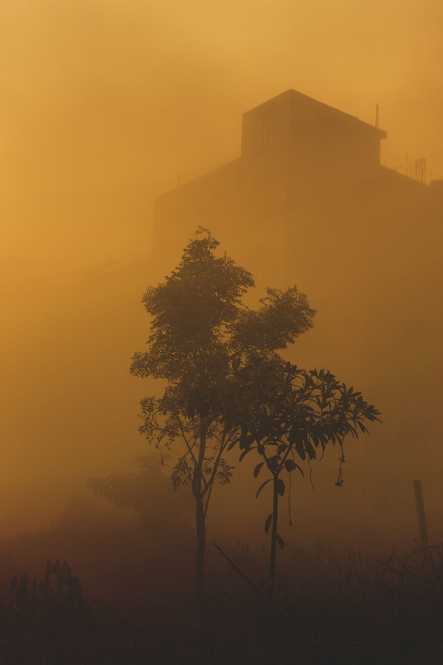 I Waited Exactly 357 Days To Get These Images