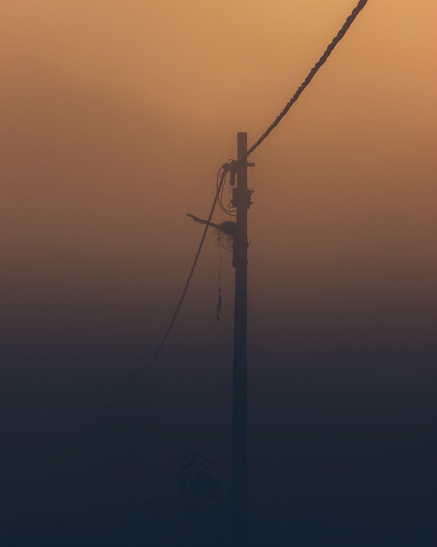 I Waited Exactly 357 Days To Get These Images I Waited Exactly 357 Days To Get These Images