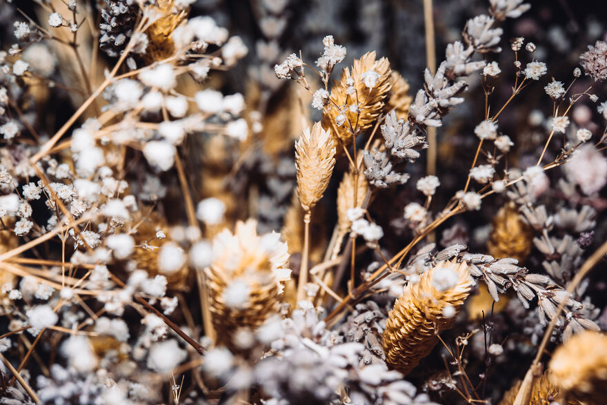 Flower Garden At Home