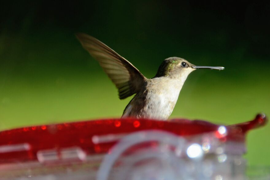 Took This Out Of My Grandparents Window