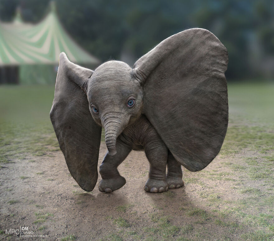 Dumbo