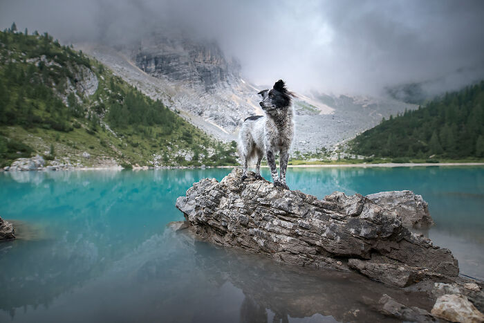 One Way Ticket To Paradise - I Will Take You On A Little Journey