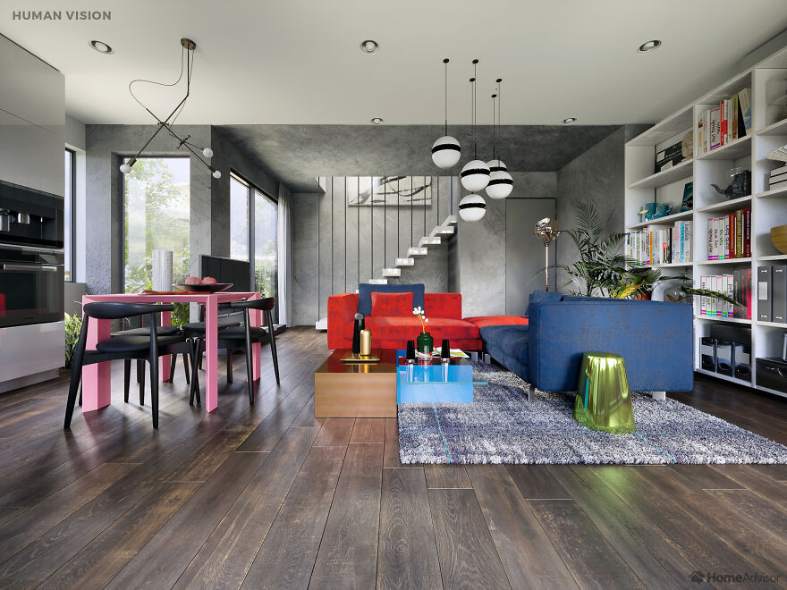 Here's How These 7 Pets See The World Around Them Here's How These 7 Pets See The World Around Them