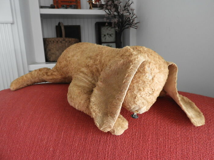 I've Had "Doggy" For Over 64 Years. He Has The Original "Nose" (Not Considered A Choking Hazard In 1956), No Eyes, And His Hair Is Really Worn But Has Gone With Me Everywhere I've Lived Including College