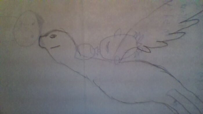 Sorry Guys I Am Really Bad At Drawing.