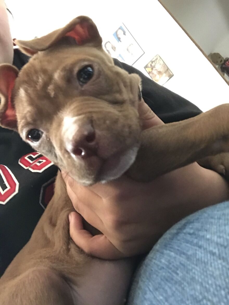 Thought You Guys Might Like Some Cute Animals :) Thought You Guys Might Like Some Cute Animals :)