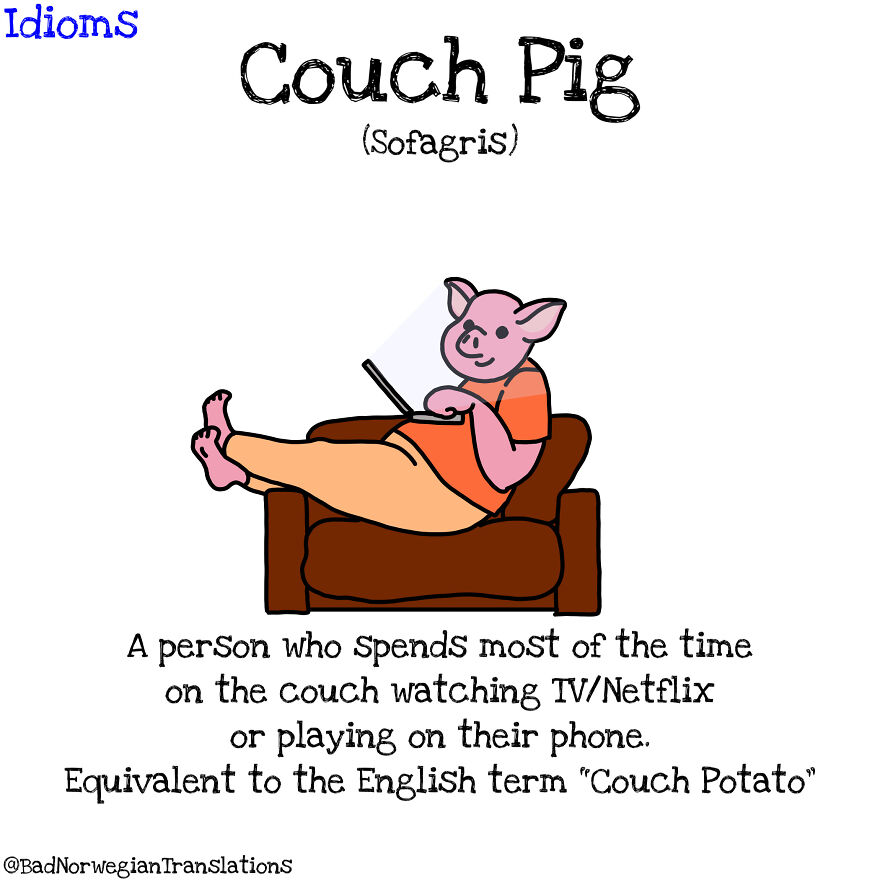 15 Funny Norwegian Idioms Illustrated And Explained