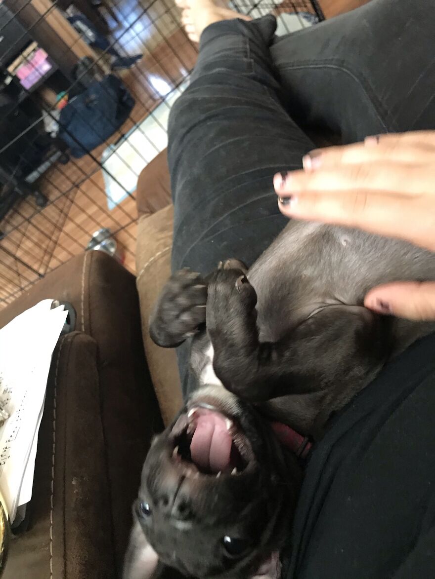 Thought You Guys Might Like Some Cute Animals :) Thought You Guys Might Like Some Cute Animals :)