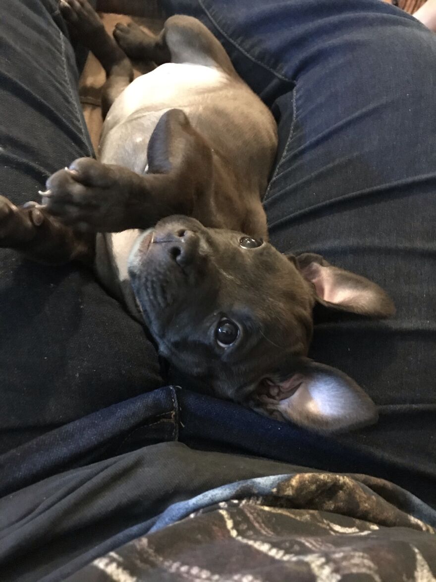 Thought You Guys Might Like Some Cute Animals :) Thought You Guys Might Like Some Cute Animals :)