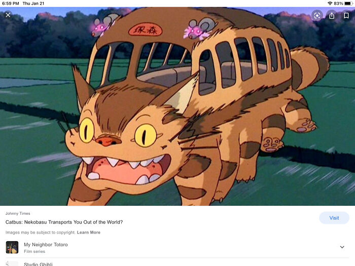 Catbus From Totoro