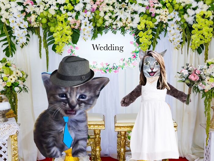 He Is Crying Of Happiness