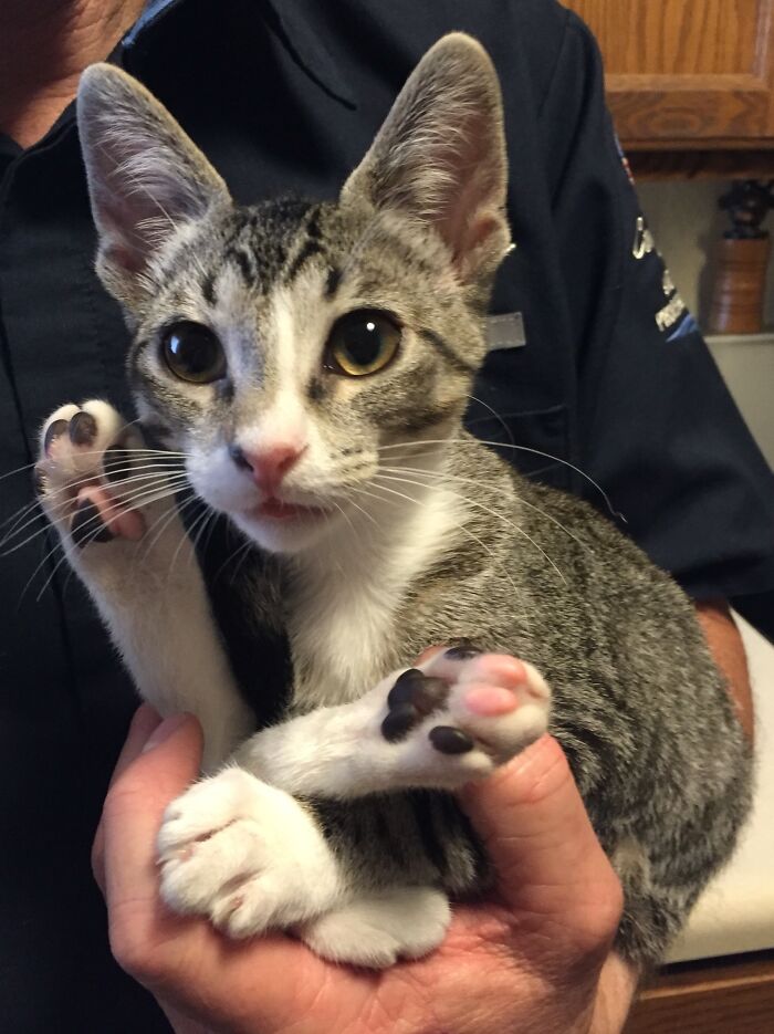 Gracie At 3 Months...