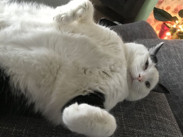 Being A Little Flirt