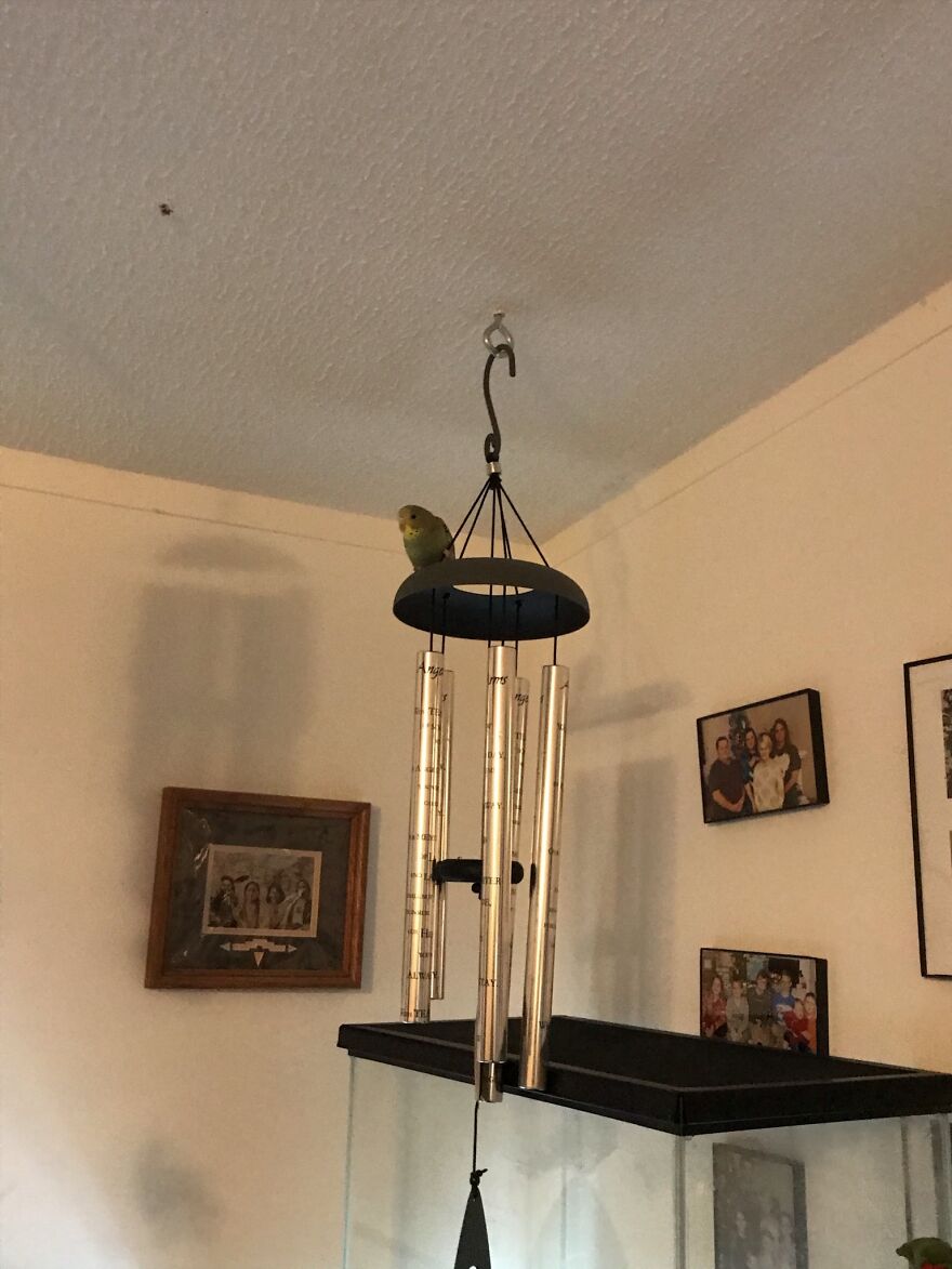 Thought You Guys Might Like Some Cute Animals :)