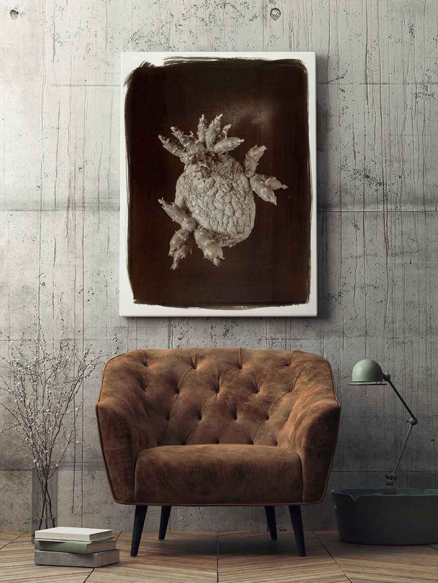 I Photographed The Molded, Rotten, And Dried Food Stocked Up In Our Storage Room During The Lockdown I Photographed The Molded, Rotten, And Dried Food Stocked Up In Our Storage Room During The Lockdown