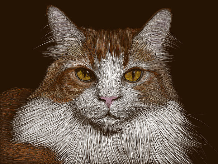 Nando Plopcat Kennedy - My First Paid Commission! Drawn On Adobe Fresco