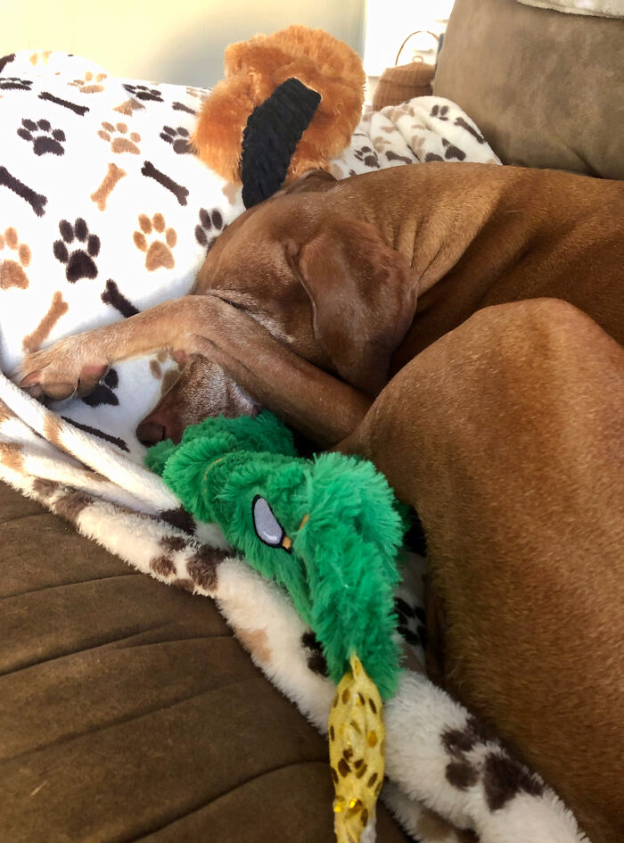 Note To Self Buy Izzy A Sleeping Mask