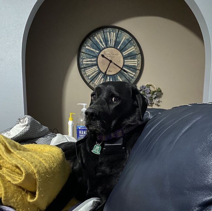 She Doesn’t Understand Why I Stopped Letting Her.