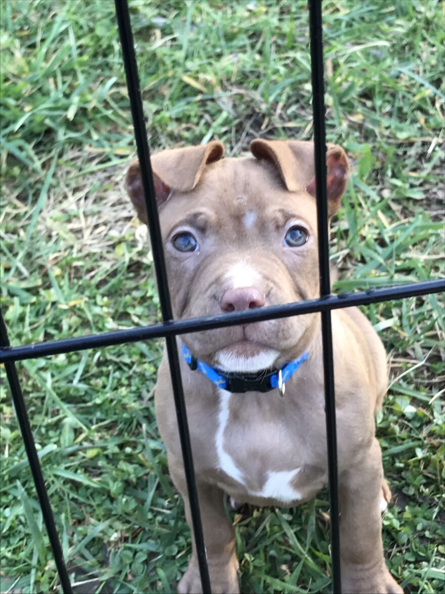 Thought You Guys Might Like Some Cute Animals :) Thought You Guys Might Like Some Cute Animals :)