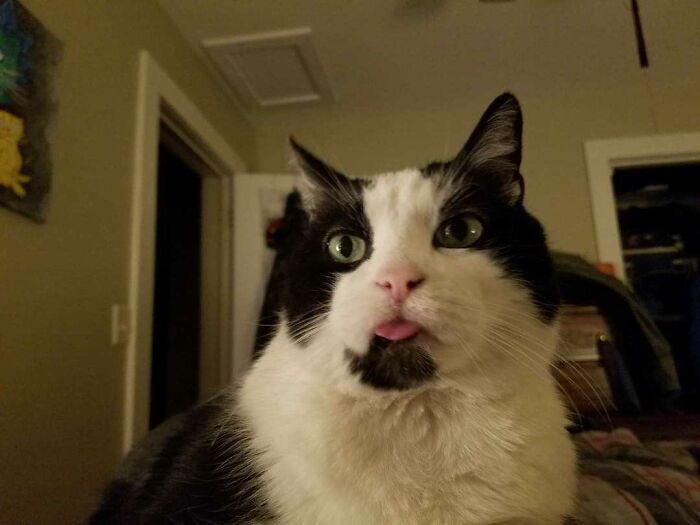 Spike Von Flooferpants (Rip 2018)